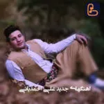 اهنگ جدید علی احمدیانی 1403 / دانلود گلچین جدید و قدیمی یکجا MP3