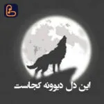 دانلود آهنگ این دل دیوونه کجاست