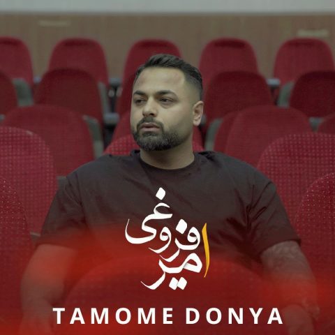 دانلود آهنگ تموم دنیا امیر فروغی
