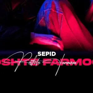 دانلود آهنگ هر شبو دیگه بیرون از خونم پشت فرمونم که سیرم از جونم سپید