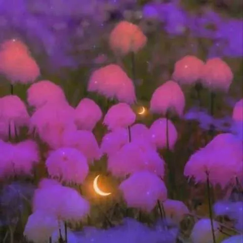 دانلود آهنگ عروس رفته گل بچینه بگین این دور بچینه تاک داون