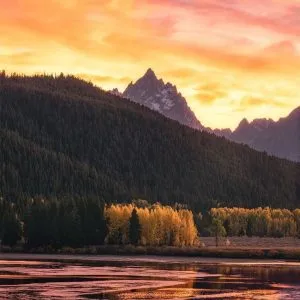 دانلود آهنگ دافت قیافه میگیره انگار مگان فاکسه 