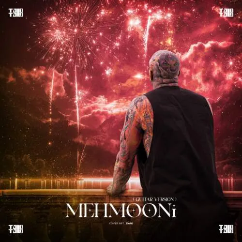 دانلود آهنگ مهمونی (گیتار ورژن) امیر تتلو