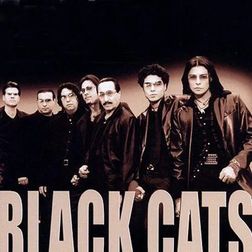 دانلود آهنگ دختر پاشنه کفش طلا سیندرلا سیندرلا بلک کتس