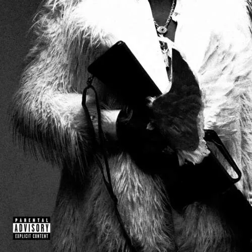 دانلود آهنگ پارانوئید ریچ امیری