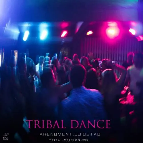 دانلود ریمیکس دیجی استاد تریبال دنس 12