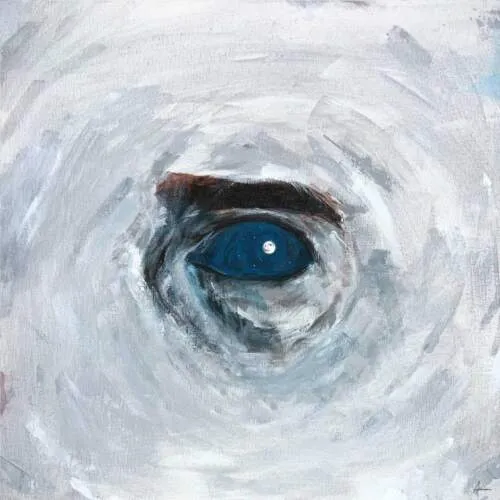 دانلود آهنگ عرفان و سمی لو و ایمانمون آسمون