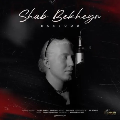 دانلود آهنگ شب بخیر باربد