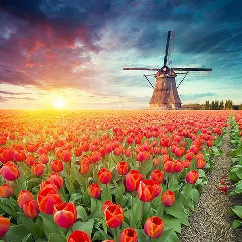 دانلود ریمیکس زن اما لیلی بی مجنونش دق میکنه میمیره اینستا