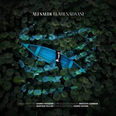 دانلود آهنگ علی ساعدی به نام الهی ندانی چه بر من گذشت