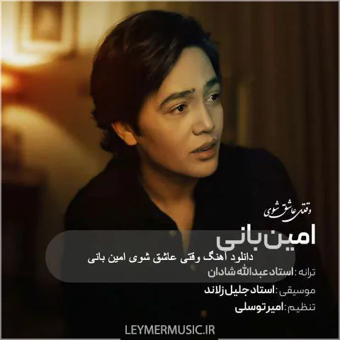 دانلود آهنگ وقتی عاشق شوی امین بانی