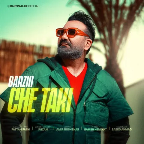 دانلود آهنگ برزین به نام چه تکی